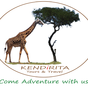 Kendirita Safaris