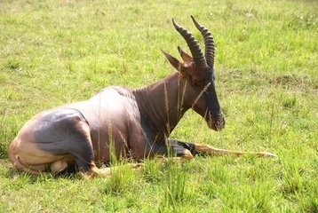 Tourism in Garissa