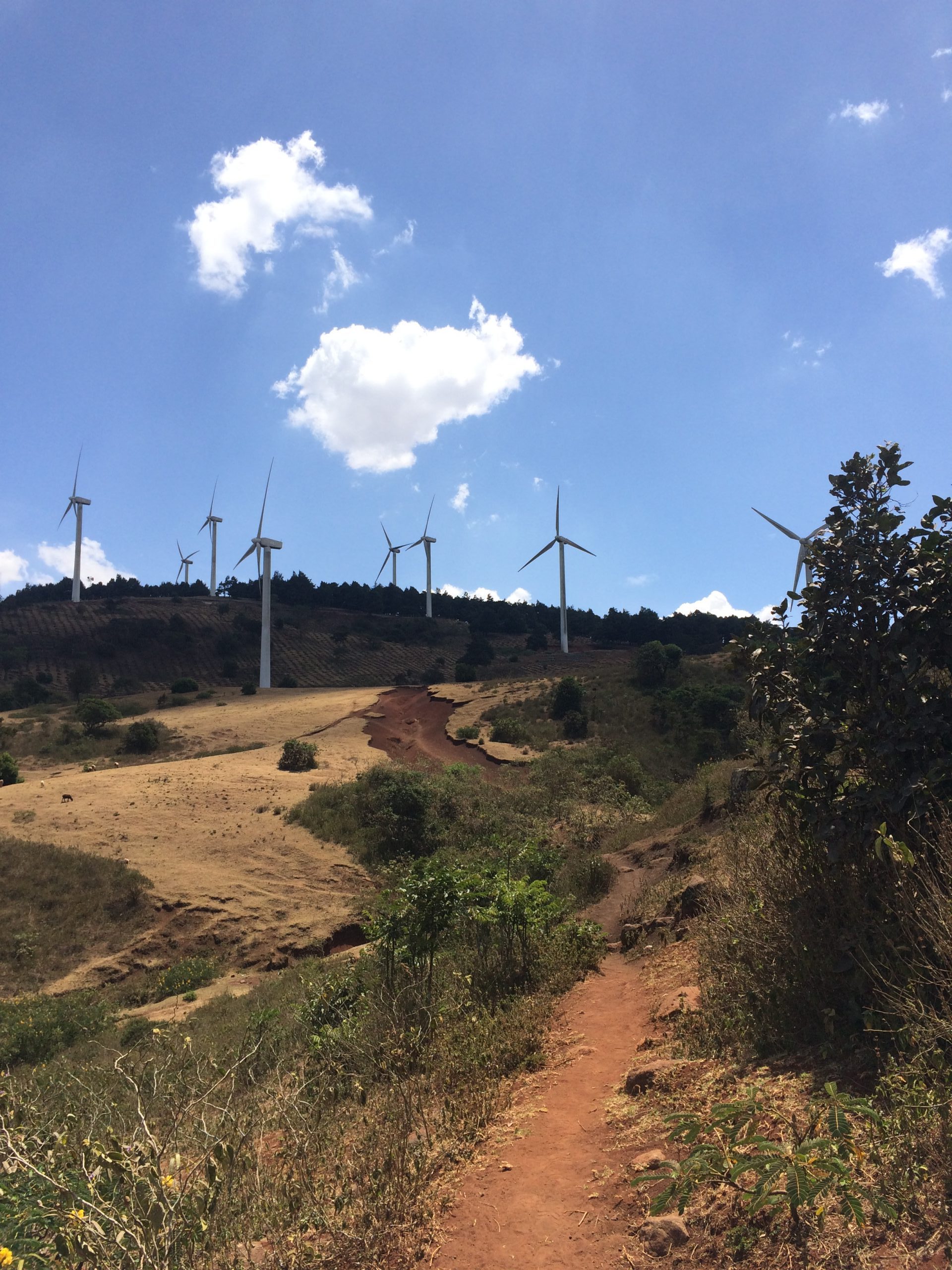 Ngong Hills Forest And Recreational Park Kendirita Tours & Travel Blog