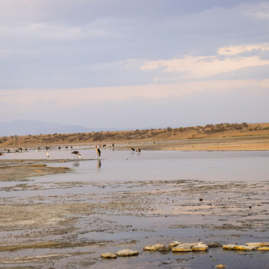 lake magadi