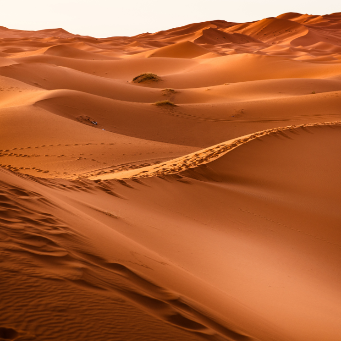 sahara desert