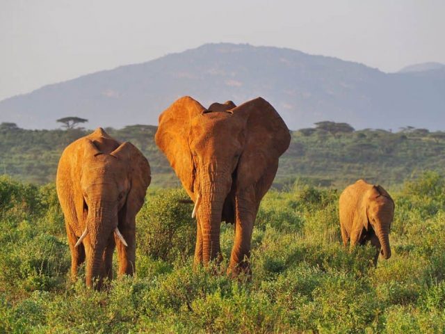 Best Attractions of Samburu-Kenya