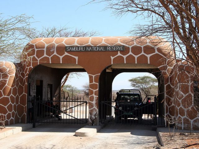 Top 5 Accommodation Spots in Samburu