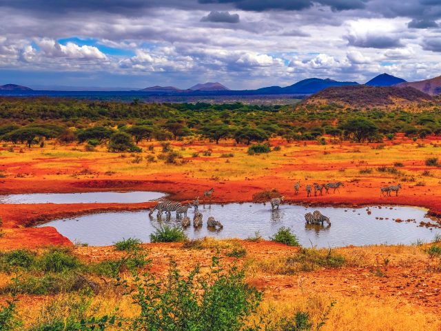 Tsavo National Park: ‘The Theatre of the Wild’