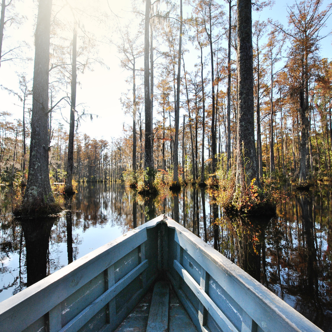 boat ride