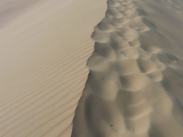 Behold the Desert Safaris of the World
