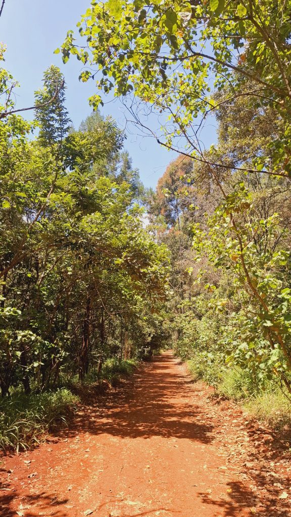 scenic route