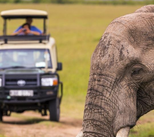 Masai Mara: Now a World Record Holder