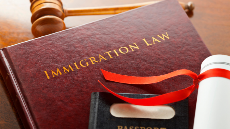 immigration law