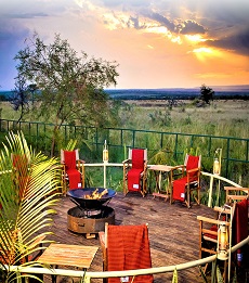 Zebra Plains Mara