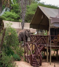 Elephant Bedroom