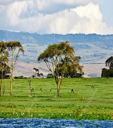 Maasai Mara Naivasha Safari