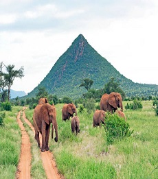 Samburu and Naivasha