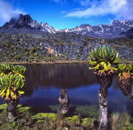 Chogoria - Naromoru Trekking Safari