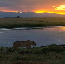 Kenya Tanzania Magical Safari