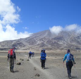 Machame Route Mt. Kilimanjaro