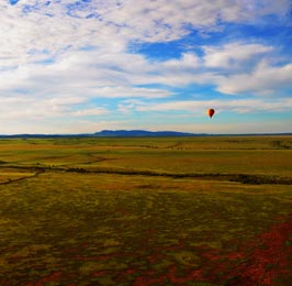 Out of Africa Honeymoon Flying Safari