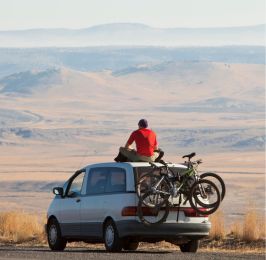 Kenya Highlights Safari