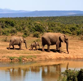 Samburu National Park Flying Package