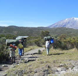 Shira Route Mt. Kilimanjaro Tour