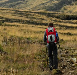 Sirimon - Chogoria or Vise Versa Trekking Safari