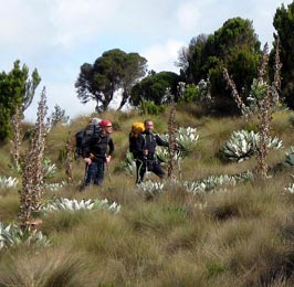 Sirimon - Naromoru Trekking Safari