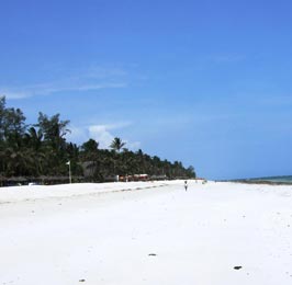 The Diani Beach Tour