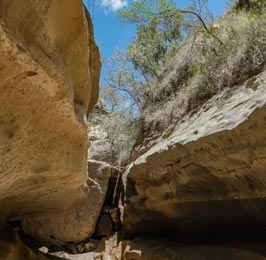 The Hells Gate Tour