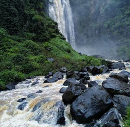 Thomson Falls Tour