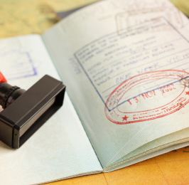 Dubai Visa