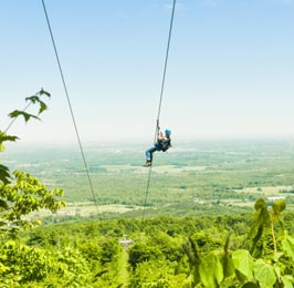 Zip Lining & Forest Hiking Tour