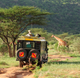 12 Days  11 Nights Classic Kenya Safari