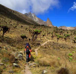 Marangu Route Mt. Kilimanjaro Tour