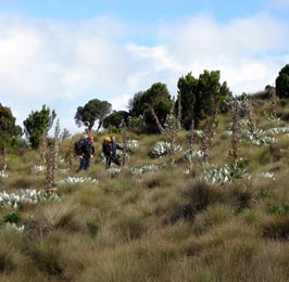 Sirimon - Naromoru Trekking Safari