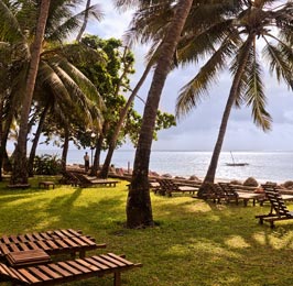 The Diani Beach Flying Safari