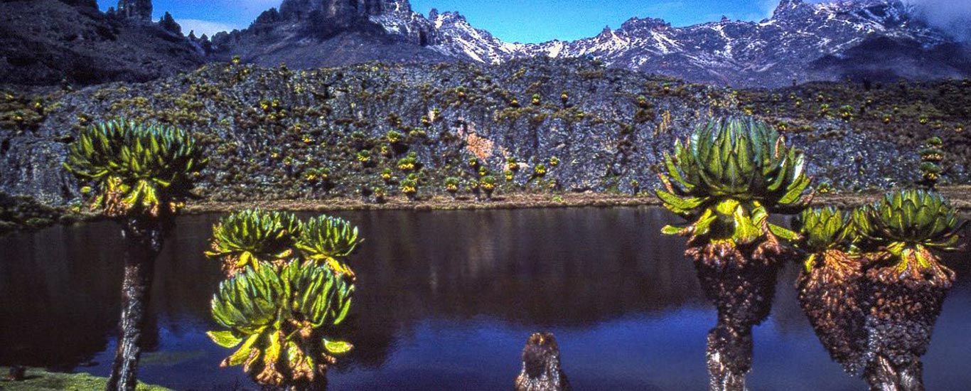 Chogoria - Naromoru Trekking Safari