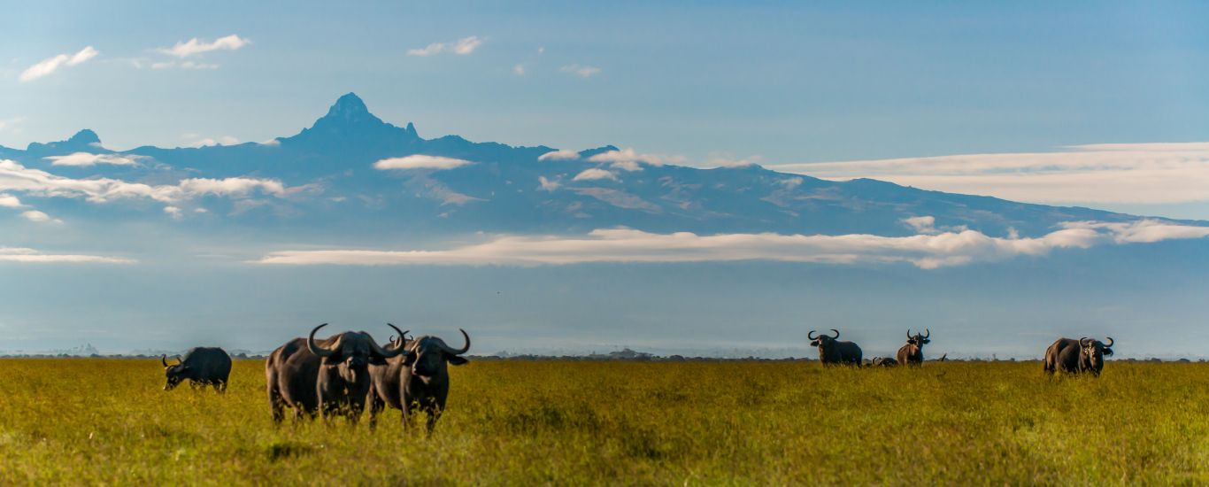 Classic Kenya Safari