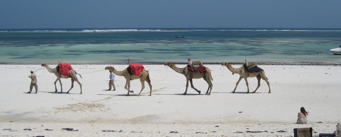 Kenya Adventure and Beach Safari