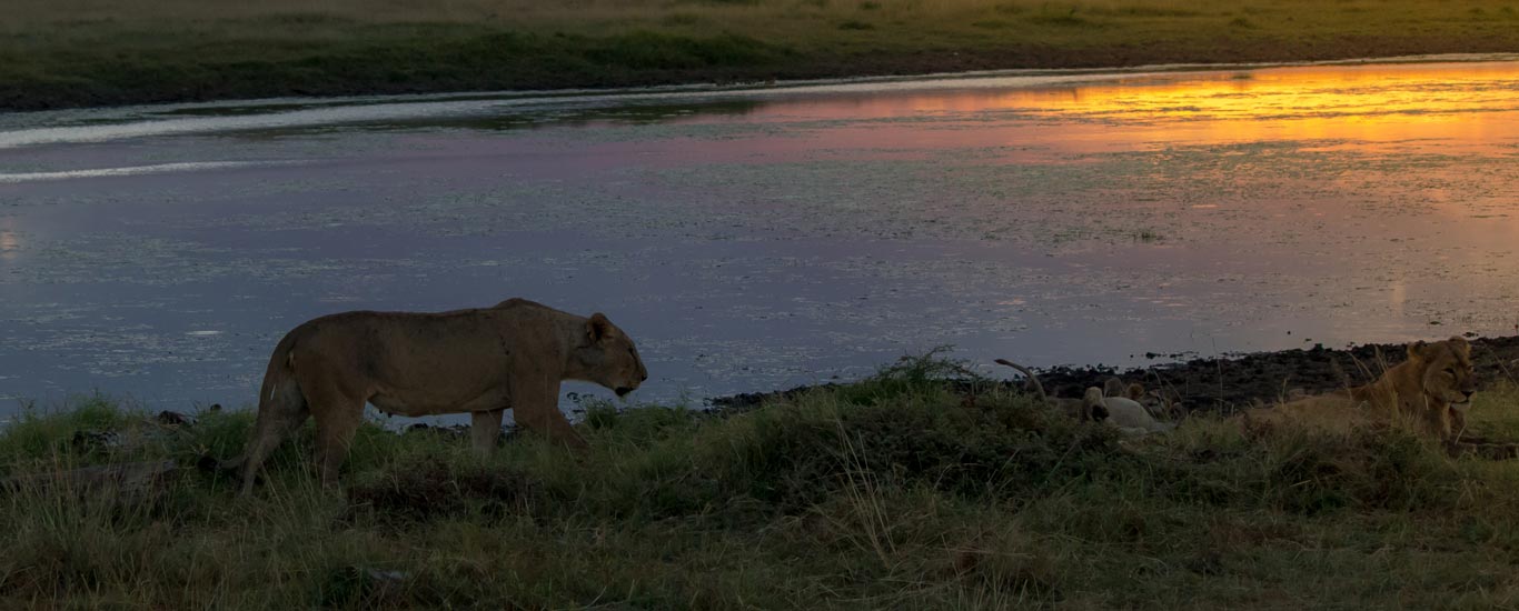 Kenya Tanzania Magical Safari