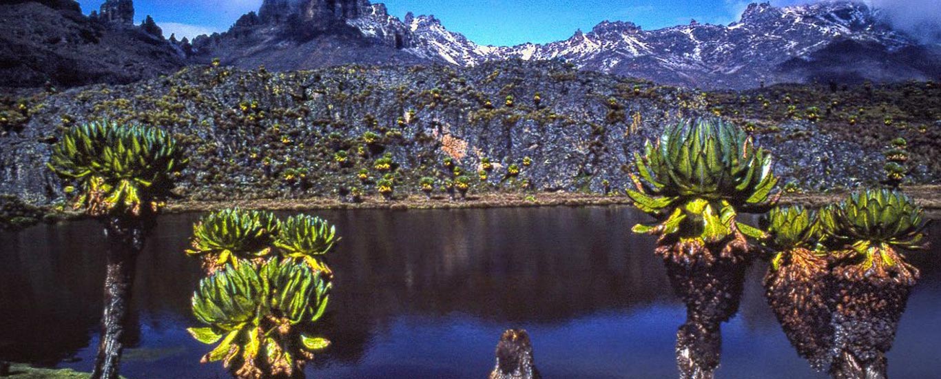 Mount Kenya and Chimpanzee Sanctuary Tour