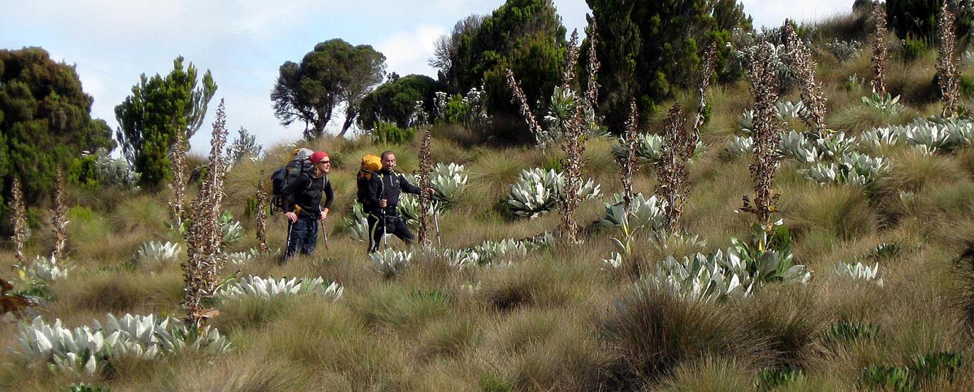 Sirimon - Naromoru Trekking Safari