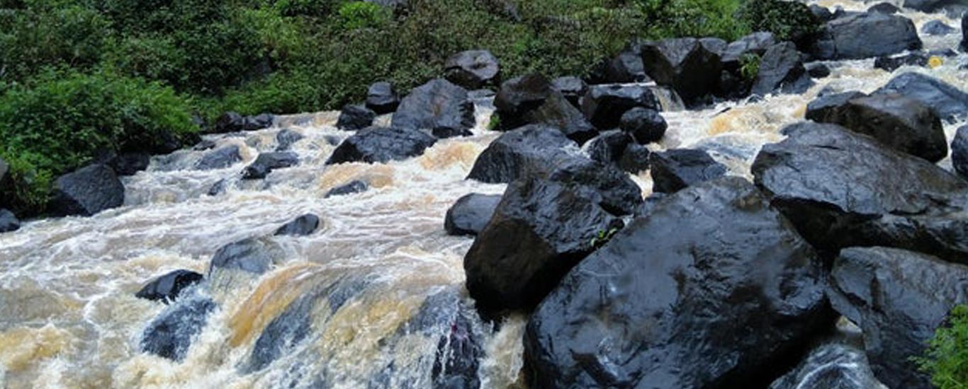 Thomson Falls Tour