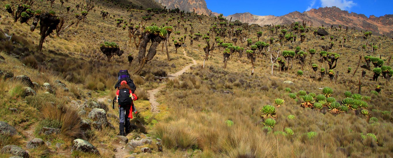 Marangu Route Mt. Kilimanjaro Tour