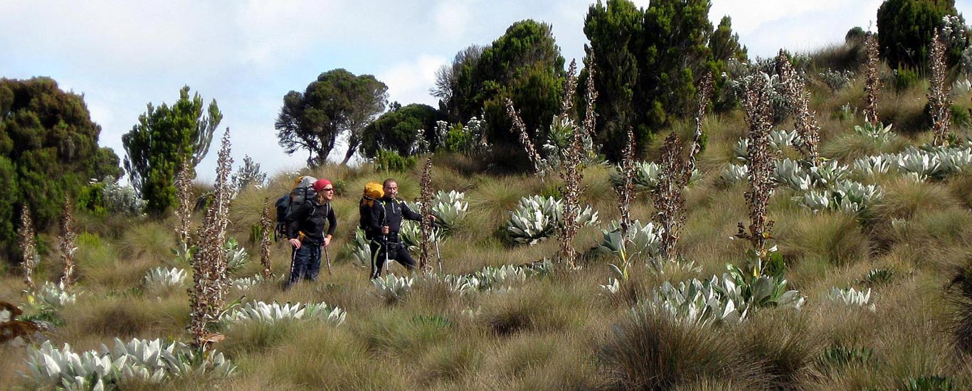 Sirimon - Naromoru Trekking Safari