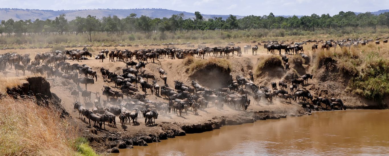 6 Days Kenya Migration Safari